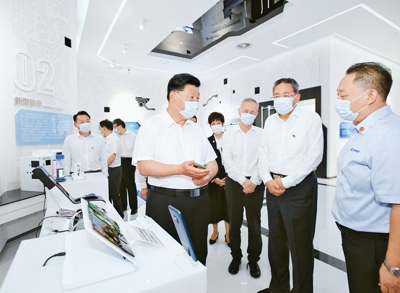 ���ڵ�����(jhdbw)�����Ȩ��ΨһάȨ����ƽ̨